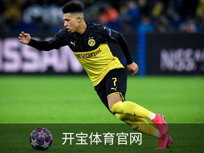开宝体育官网简介