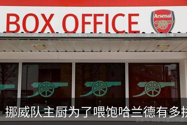 挪威队主厨为了喂饱哈兰德有多拼？他每天要补充6000卡路里热量，进入淘汰赛后球队紧急订购食材
