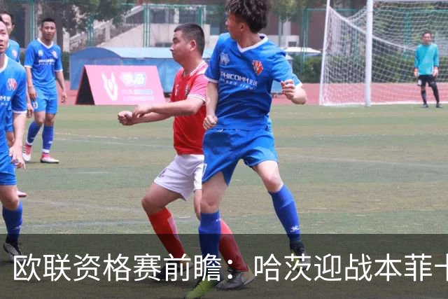 欧联资格赛前瞻：哈茨迎战本菲卡，1-6惨败后主场盼挽回尊严