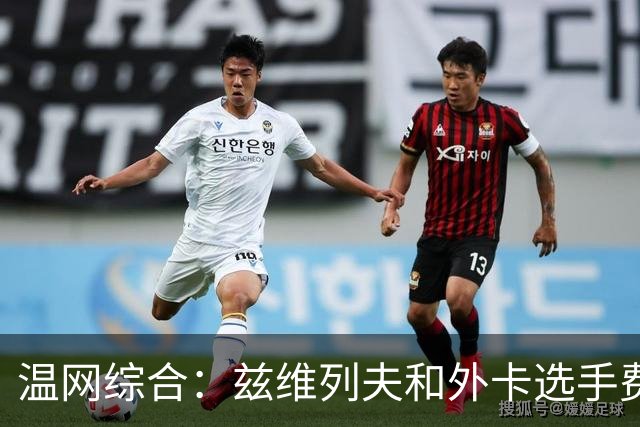 温网综合：兹维列夫和外卡选手费里晋级男单四强