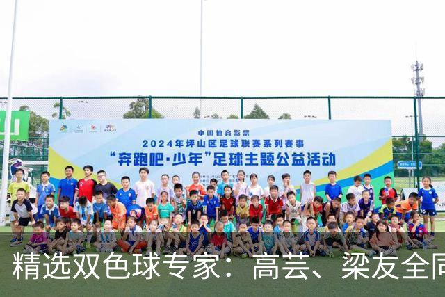 精选双色球专家：高芸、梁友全同中二等279万！